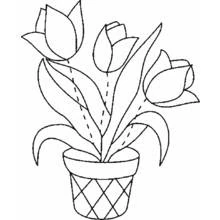 Coloriage Tulipes dans un pot