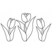 Coloriage Tulipe trio de fleurs alignées