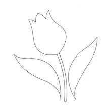 Coloriage Tulipe simple