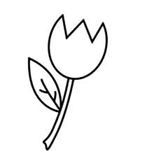 Coloriage Tulipe avec une simple feuille