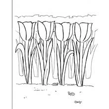 Coloriage Tulipe rangée de fleurs avec coccinelles