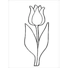 Coloriage Tulipe avec une seule fleur et deux feuilles