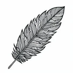 Coloriage Plume détaillée aux barbes fines