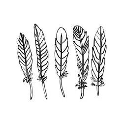 Coloriage Plume - collection de cinq plumes