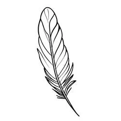 Coloriage Plume détaillée aux barbes fines