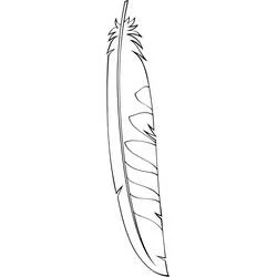 Coloriage Plume aux motifs rayés