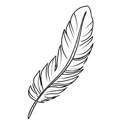 Coloriage Plume aux détails fins