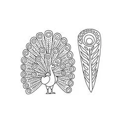 Coloriage Plume de paon et paon faisant la roue