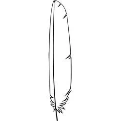 Coloriage Plume avec un rachis central