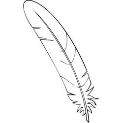 Coloriage Plume avec une pointe effilée