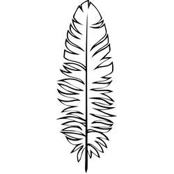 Coloriage Plume aux barbes détaillées