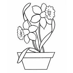 Coloriage Pot de fleurs avec jonquilles en fleur