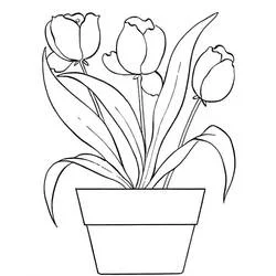 Coloriage Pot de fleurs avec tulipes