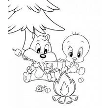 Coloriage Baby Looney Tunes en camping avec des chamallows