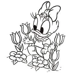 Daisy Duck - Coloriages gratuits à imprimer