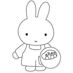 Coloriage Miffy tenant un panier de carottes