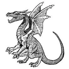 Coloriage Dragon de profil aux dents pointues et griffes