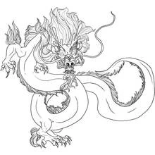 Coloriage Dragon serpentin à moustaches et griffes acérées