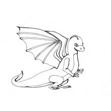 Coloriage Jeune dragon au regard amical, aile nervurée