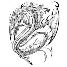 Coloriage Dragon enroulé aux ailes déployées