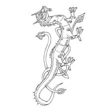 Coloriage Dragon dressé en boucles, crêtes sur le dos