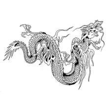 Coloriage Dragon au long corps serpentin