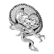 Coloriage Dragon enroulé en cercle