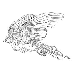 Coloriage Phoenix volant avec les ailes déployées Coloriage Phoenix volant avec les ailes déployées
