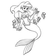 Coloriage Sirène Ariel entourée de petits hippocampes