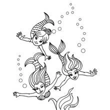 Coloriage Sirène nageant avec ses deux amies sous l'eau