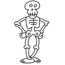 Coloriage Squelette debout mains sur les hanches