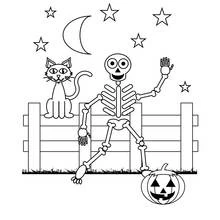 Coloriage Squelette assis sur une clôture avec un chat