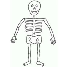 Coloriage Squelette debout avec un grand sourire