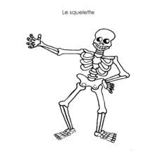 Coloriage Squelette en pose dansante