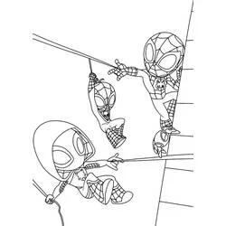 Coloriage Spidey et ses amis extraordinaires suspendus à leurs toiles