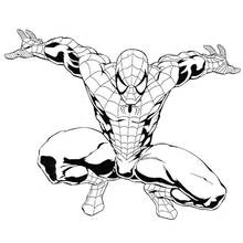 Coloriage Spider-Man de face, bras écartés, prêt à tirer
