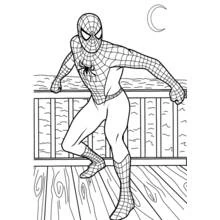 Coloriage Spider-Man accroupi sur une jetée en bois la nuit