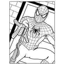 Coloriage Spider-Man suspendu à sa toile