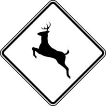 Coloriage Panneau routier avec un cerf bondissant