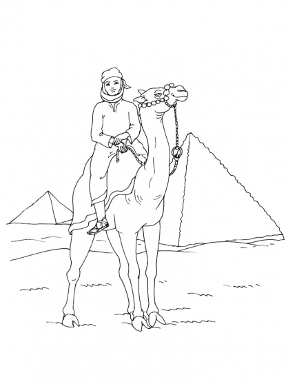 Бесплатная раскраска Верблюд #1713 из коллекции Животные