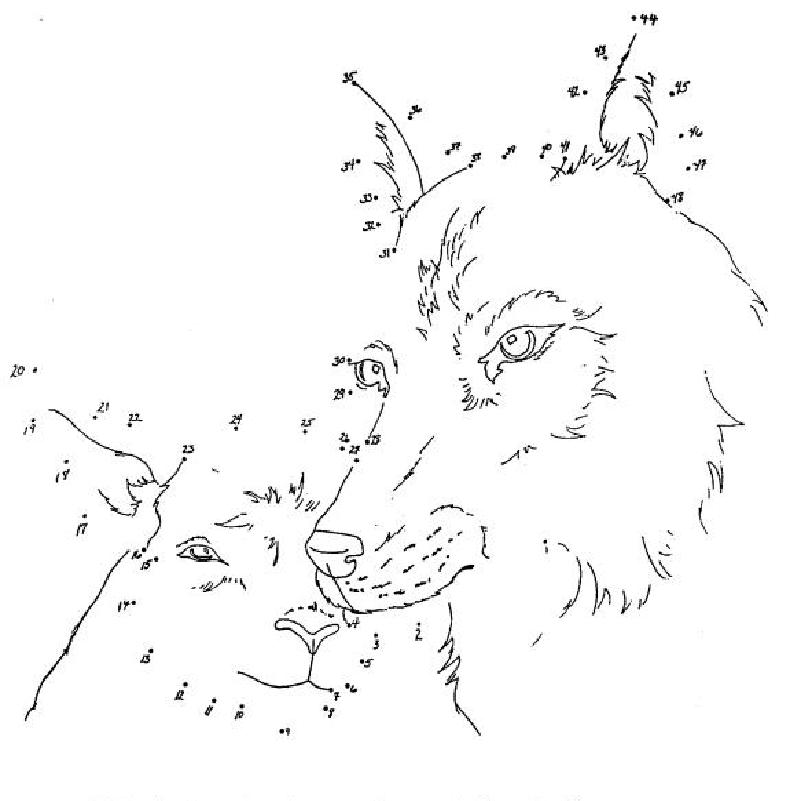 Бесплатная раскраска Волк #10507 из коллекции Животные