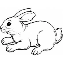 Раскраска Кролик (Животные) #9526 для печати и раскрашивания