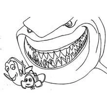 Раскраска Акула (Животные) #14931 для печати и раскрашивания