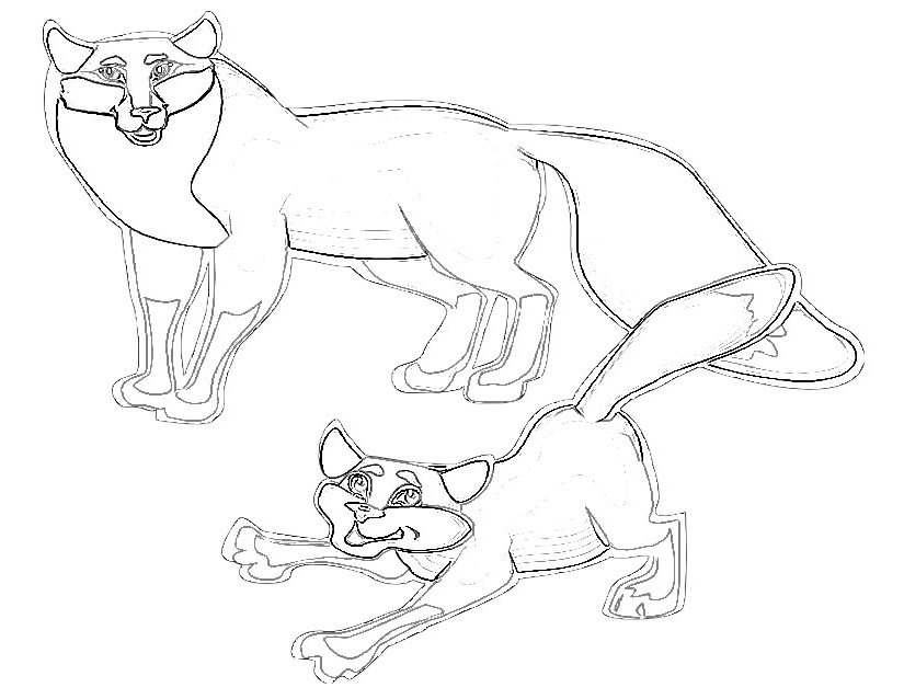 免费狐狸着色页 #14980 来自动物合集