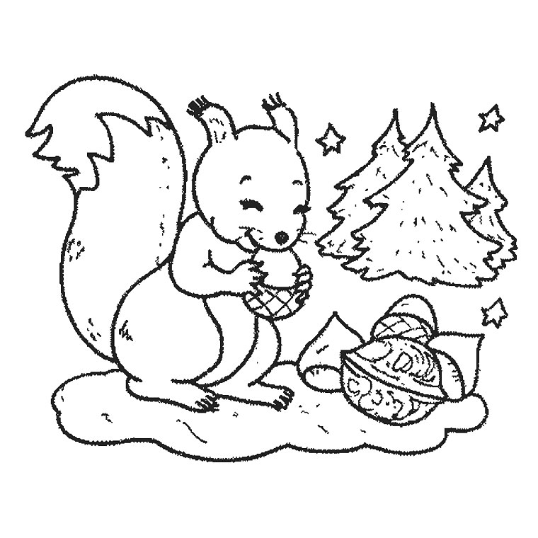 免费松鼠着色页 #6096 来自动物合集