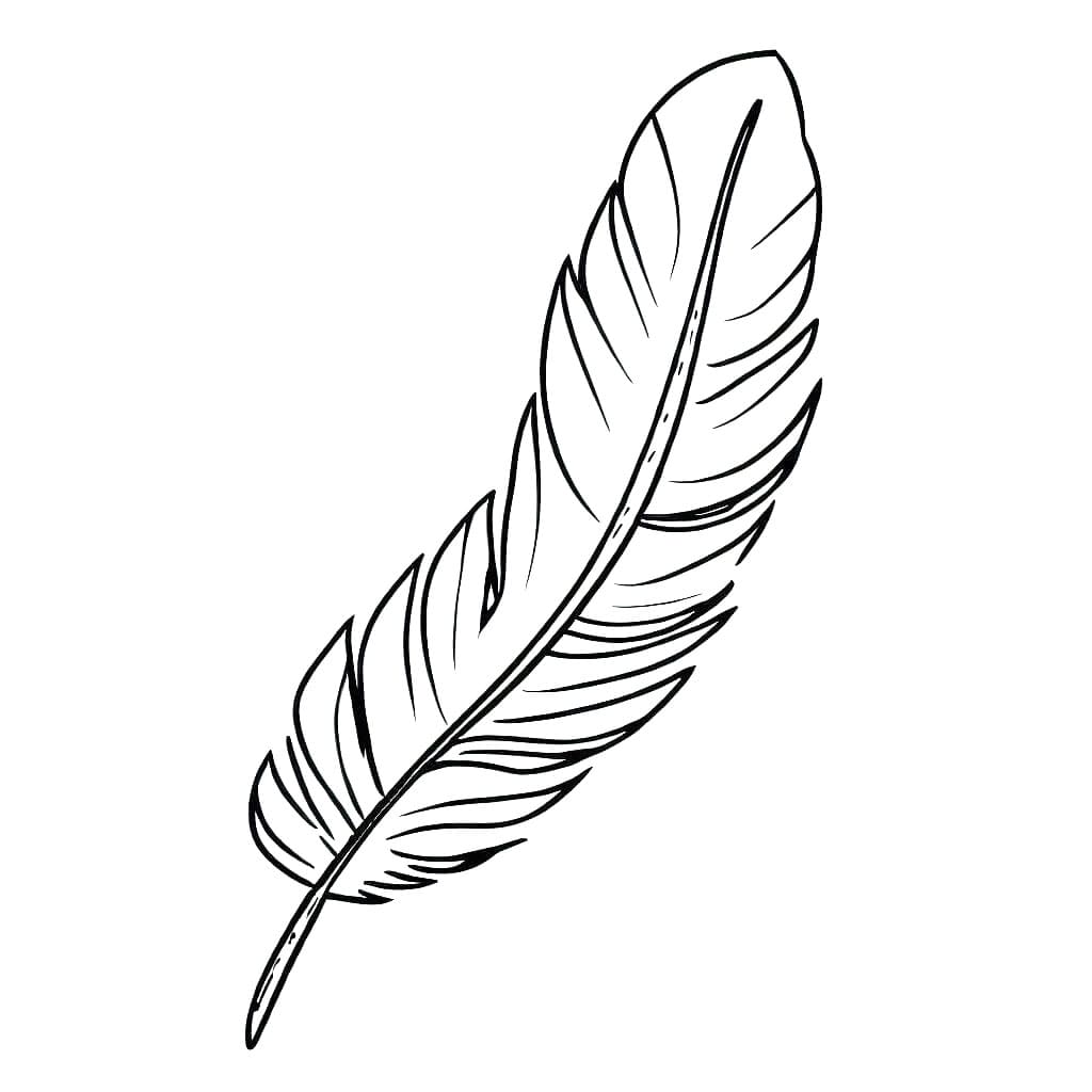 免费羽毛着色页 #212616 来自物品合集