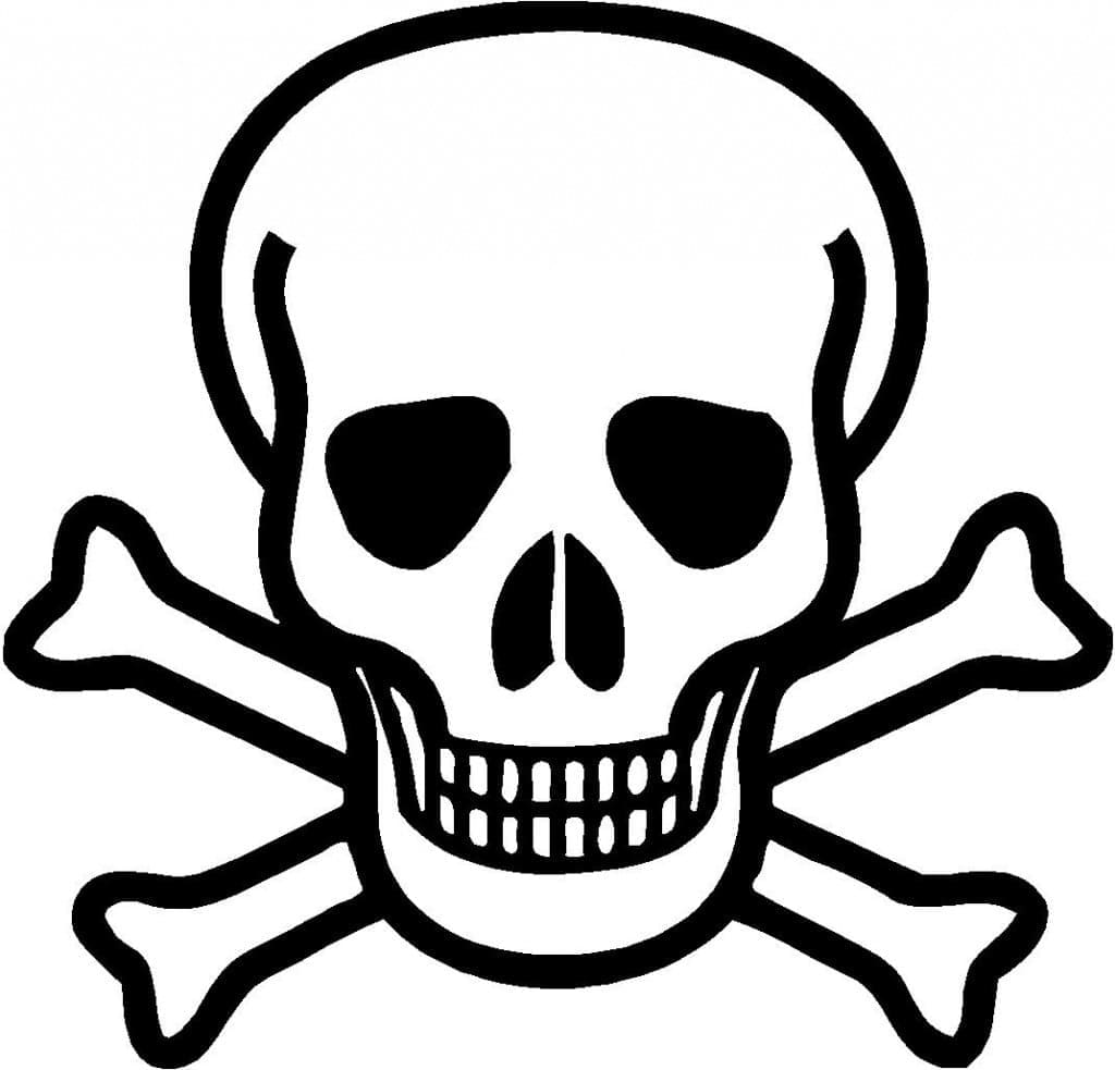 免费头骨着色页 #204918 来自物品合集